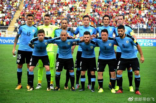 乌拉圭vs巴拉圭的相关图片