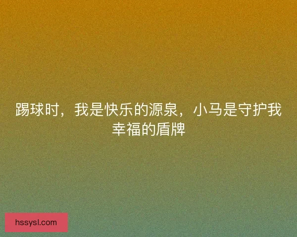 踢球时，我是快乐的源泉，小马是守护我幸福的盾牌